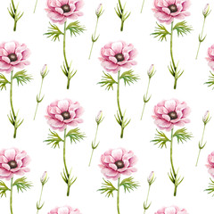 Fototapeta na wymiar pattern with delicate pink flowers anemones on a white background, watercolor illustration