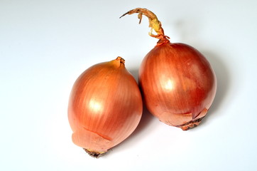 Two big sweet onions on a white background, Yellow onion