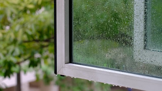 textured window frame with forest landscape reflection and water drops on glass - Powered by Adobe