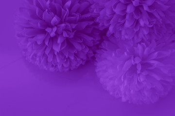 Beautiful abstract color blue and purple flowers on white background and blue flower frame and pink leaves texture, light purple background, colorful banner happy valentine