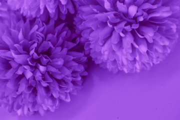 Beautiful abstract color blue and purple flowers on white background and blue flower frame and pink leaves texture, light purple background, colorful banner happy valentine