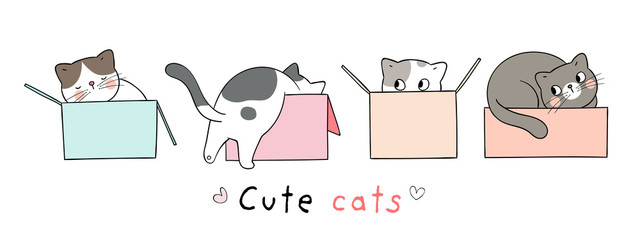 Draw cat in box on white Doodle cartoon style.