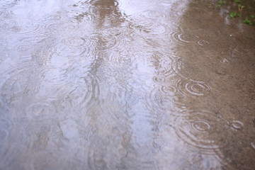 rain drops on the surface