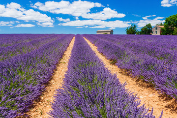 Plakat Provence, France.