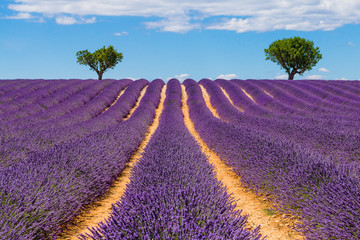 Plakat Provence, France.