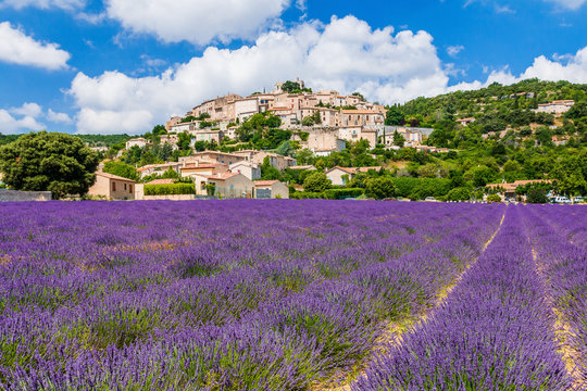 DIE 300,023 BESTEN BILDER, STOCK-FOTOS UND -VEKTORGRAFIKEN ZU „Provence ...