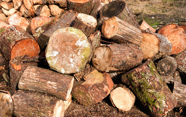 Large rural stack of firewood. Old firewood. Background.