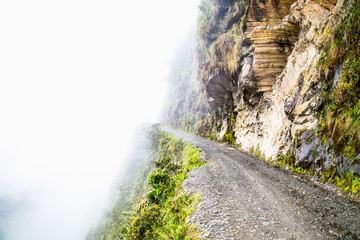  The Worlds Most Dangerous Road at altitude 4700 m , called 