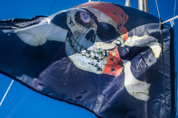 Beautiful pirate flag.