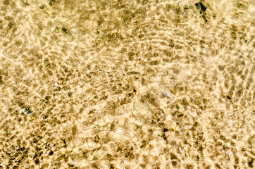 Beautiful texture of nature.