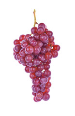 Grape isolated on white background.