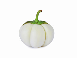 green pumpkin isolated on white background