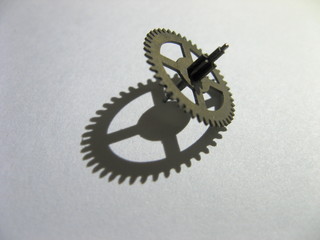 Close up of one metal gear on white background.