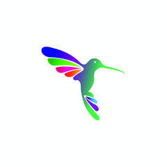hummingbird on white background