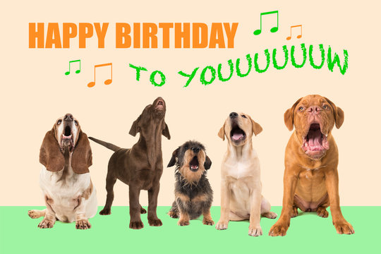 Group of dogs with various breeds looking up singing on a colored background with the text Happy Birthday to you