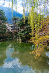 Fototapeta na wymiar 京都 円山公園の桜と春景色