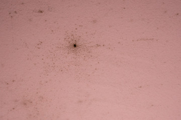 Mold on a pink painted wall. Humidity texture.
