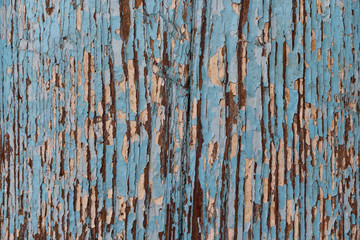 Blue board weathered with cracks, vertical fibers.