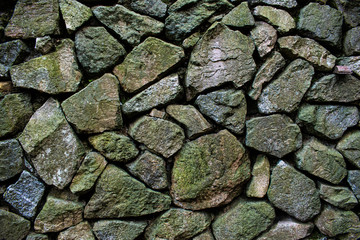 Pared antigua de piedra con musgo