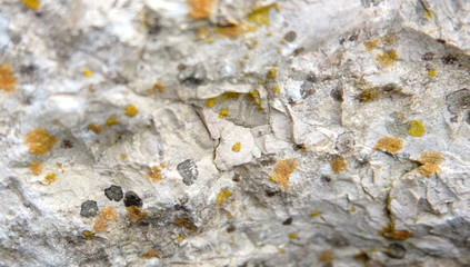 stone texture