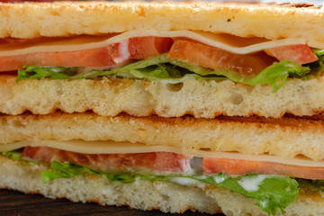Cheese sandwich of toasted bread with a crispy crust with fresh tomatoes and herbs on a wooden board