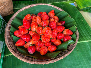 strawberries in a basket