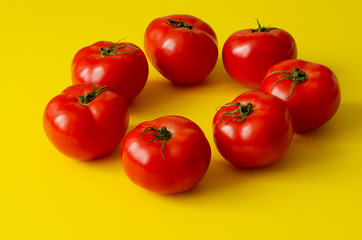Circle of organic tomatoes on yellow background. Tomatoes circle