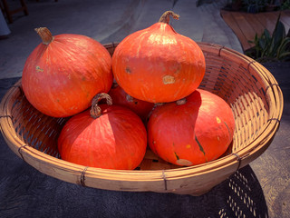 pumpkins in basket