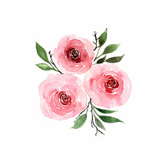 composition of pink roses in watercolor