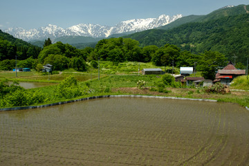 Fototapeta na wymiar Hakuba Village in Nagano Japan
