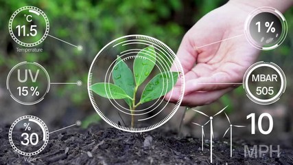 Smart digital agriculture technology by futuristic sensor data collection management by artificial intelligence to control quality of crop growth and harvest. Computer aided plantation grow concept.