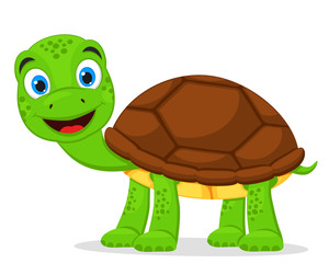 Turtle stands on four legs and smiles on a white background. Character