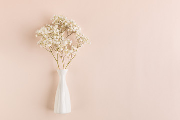 Twigs of gypsophila in a white vase on a beige pastel background. Greeting card concept. Copy space