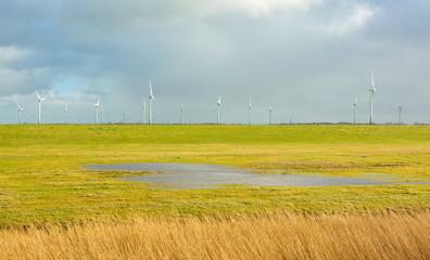 Winräder in Küstennähe Windpark alternative Energie