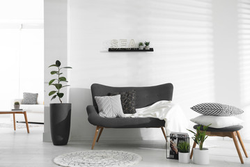 Stylish living room interior with comfortable sofa