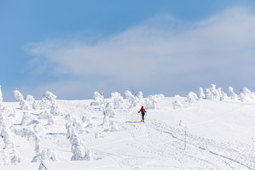 森吉阿仁スキー場