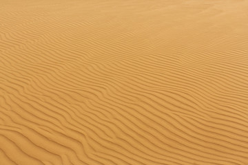 Waves of Sand Texture, Dunes of the Desert.