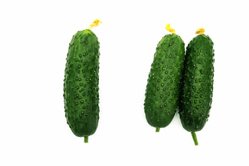 Fresh raw cucumbers lie on a white background. Cucumbers three pieces
