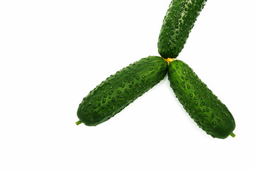 On the white background of the horizontal photo are three fresh cucumbers of small