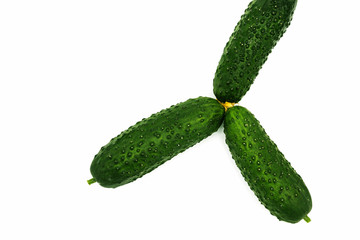 Fresh cucumbers on a white background. Cucumbers three pieces. Cucumbers are small , green, raw