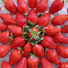 Most beautiful mandala fruits on the plate.