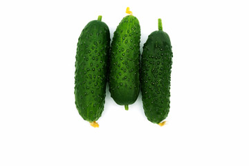 Three small green cucumbers fresh lie in the center on a white background close up