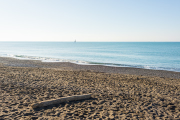 Winter seaside scene in Tuscany with wooden logs on sandy beach, sunny weather and calm sea