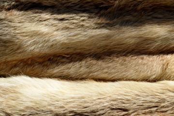 fur of a animal on a background