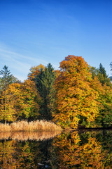Autumn in Lazienki Park in Warsaw