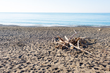 Winter seaside scene in Tuscany with wooden logs on sandy beach, sunny weather and calm sea