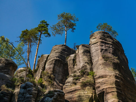 Adrspach Teplice rocks, the sandstone landscape in Bohemia, Czech Republic. Cliffs and mountains in Adr&scaron;pach-Teplice Rocks. Adersbach-Weckelsdorfer Felsenstadt, Europe hills.