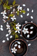 Branch with cherry blossom