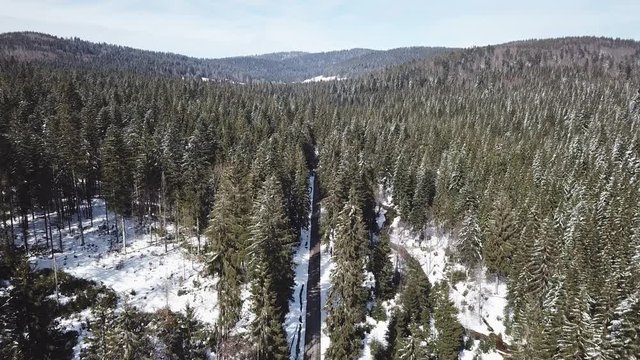 route au milieu de la foret enneig&eacute;e 