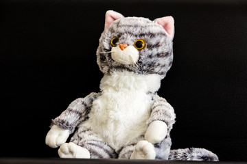 Soft children's toy fluffy cat.